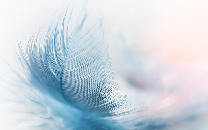 Lavaggio Wet Cleaning